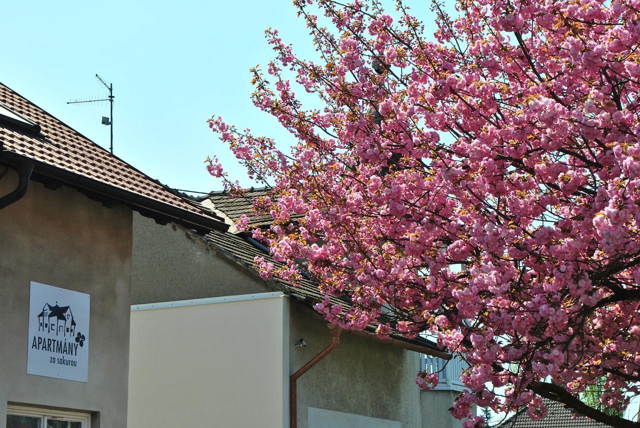 Apartmany Za Sakurou Hodonin Exterior photo